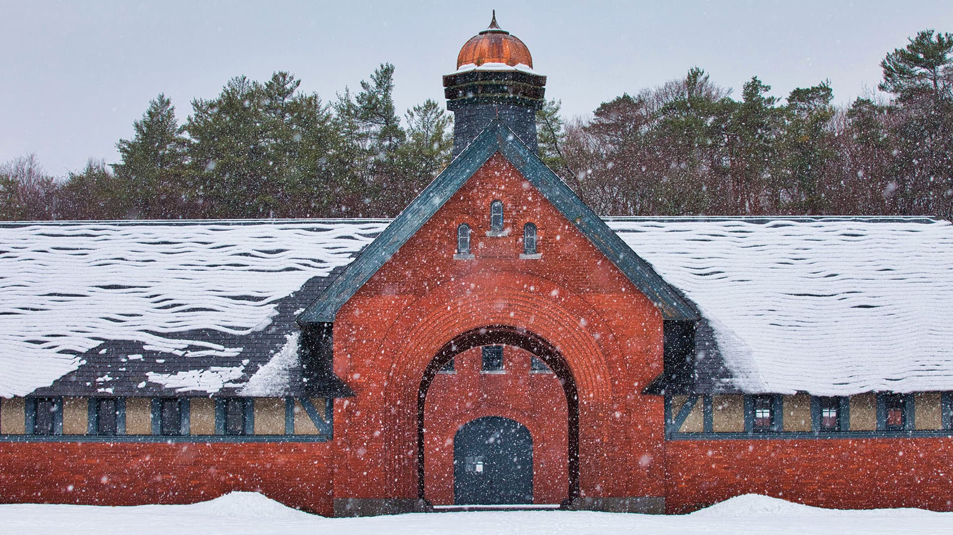 Support Experience Shelburne